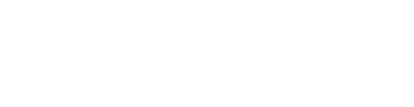 Conscious Reliability